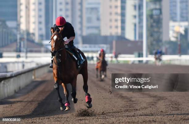 Aidan O'Brien trained Highland Reel during a Longines Hong Kong International Trackwork Session at Sha Tin racecourse on December 8, 2017 in Hong...