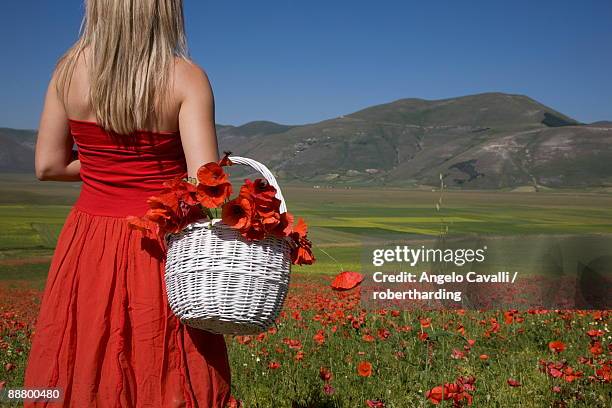 woman in poppy field, castelluccio di norcia, norcia, umbria, italy, europe - stehmohn stock-fotos und bilder