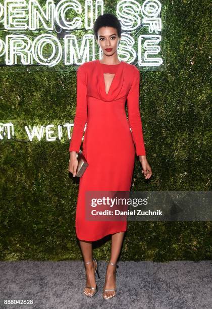 Victoria's Secret model Jourdana Phillips attends the 2017 Pencils of Promise Gala at Central Park on December 7, 2017 in New York City.