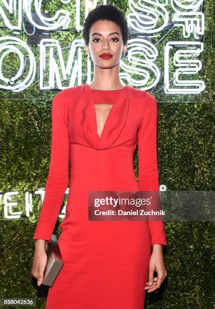 Victoria's Secret model Jourdana Phillips attends the 2017 Pencils of Promise Gala at Central Park on December 7, 2017 in New York City.