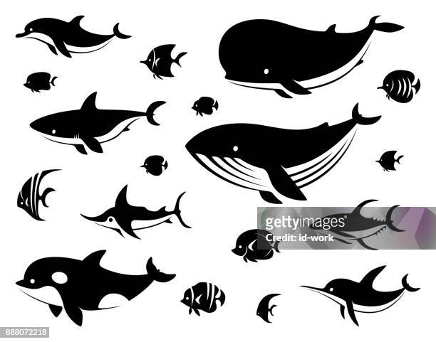 stockillustraties, clipart, cartoons en iconen met groep van zee wezens silhouet - dolphin