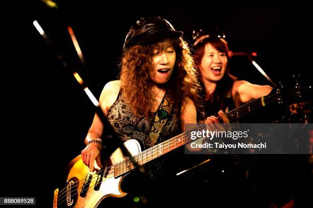 female bass player - maxim musician stock pictures, royalty-free photos & images