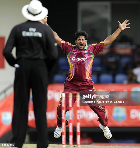 737 Timothy C Day Stock Photos, High-Res Pictures, and Images - Getty ...