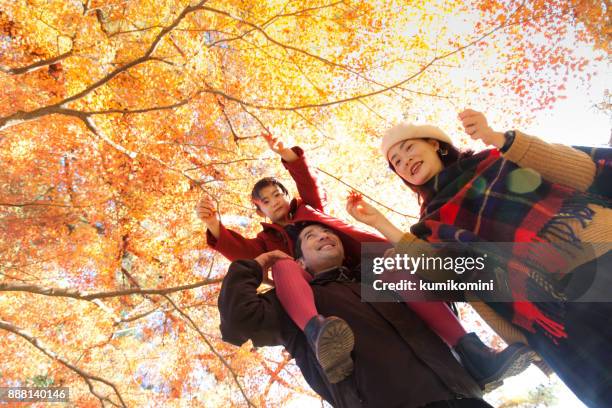 若い家族楽しんで秋付け日本のカエデ木 - japanese family ストックフォトと画像