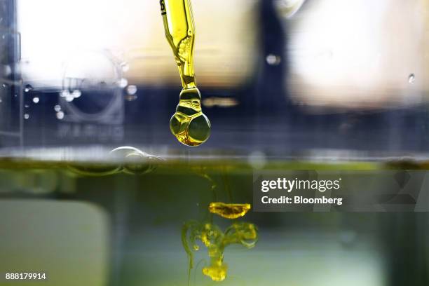 Sample of water-soluble full spectrum cannabidiol oil is dropped into water inside the laboratory facility at KannaSwiss GmbH in Koelliken,...