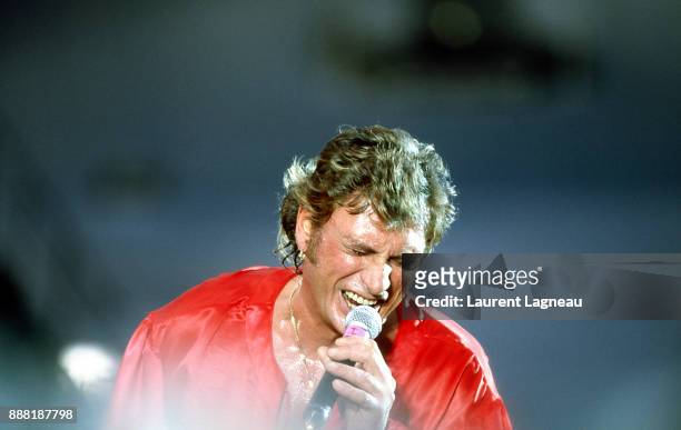 French singer and actor Johnny Hallyday on stage at Parc des Princes stadium.