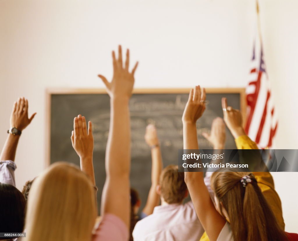 Students raising hands in classroom, rear view