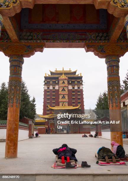 Prostrasting 1,367 Prostrating Stock Photos, High-Res Pictures, and Images - Getty ...