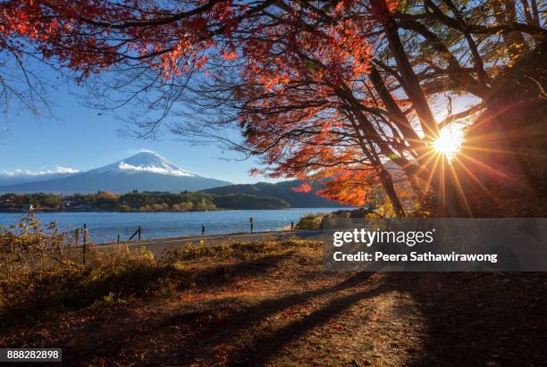 autumn fuji and red maple - lake kawaguchi imagens e fotografias de stock