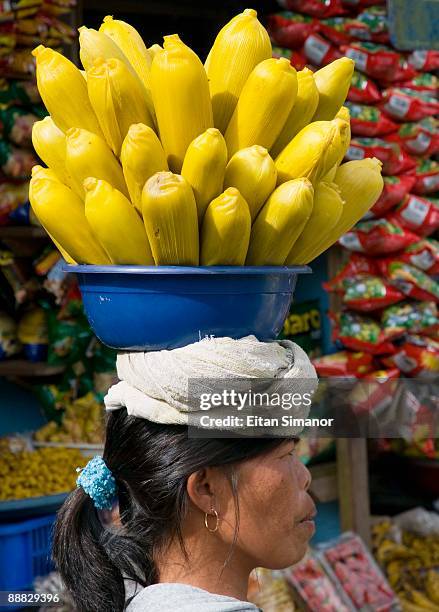 woman carrying corn on head - bali women tradition head stock pictures, royalty-free photos & images