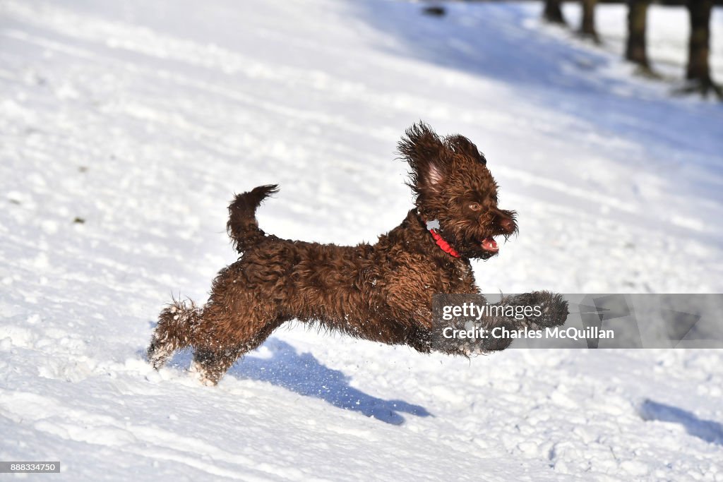 First Snow of Winter Hits Northern Ireland