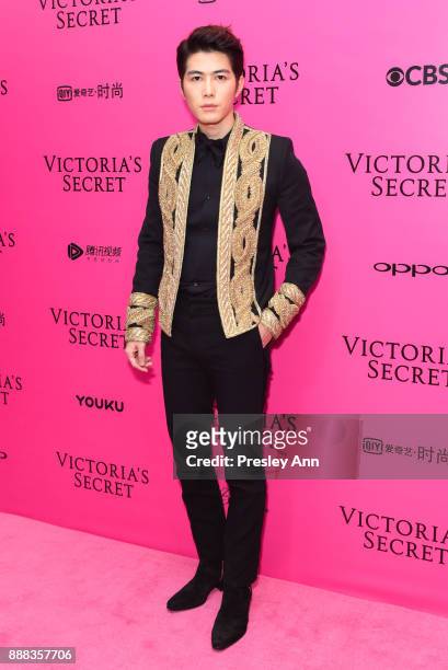 Cheney Chen attends 2017 Victoria's Secret Fashion Show In Shanghai - Pink Carpet Arrivals at Mercedes-Benz Arena on November 20, 2017 in Shanghai,...