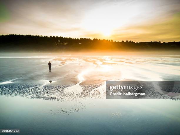 woman walking on beach at sunrise - grays harbor county stock pictures, royalty-free photos & images