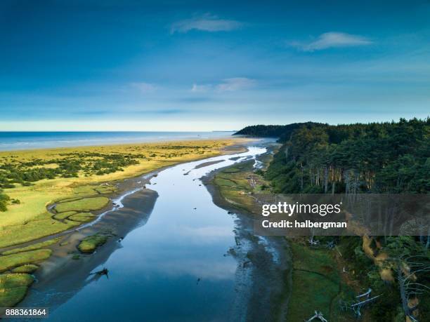 copalis rivière rencontre l’océan à griffiths-priday state park, wa - olympic peninsula photos et images de collection