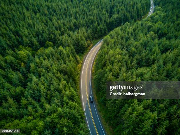 conducción a través del bosque - vista aérea - paso fotografías e imágenes de stock