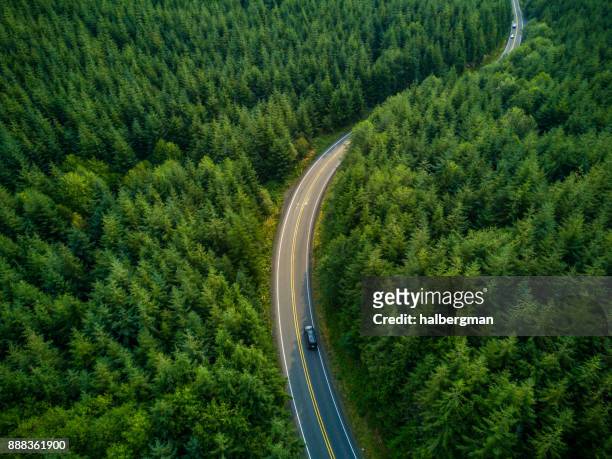 driving through forest - aerial view - country road stock pictures, royalty-free photos & images