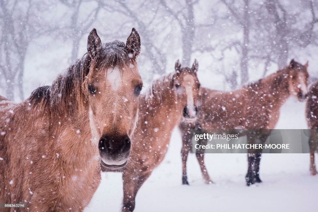 BRITAIN-WEATHER-SNOW