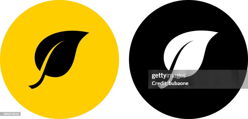 One. Leave Vector One Leaf High-Res Vector Graphic - Getty Images