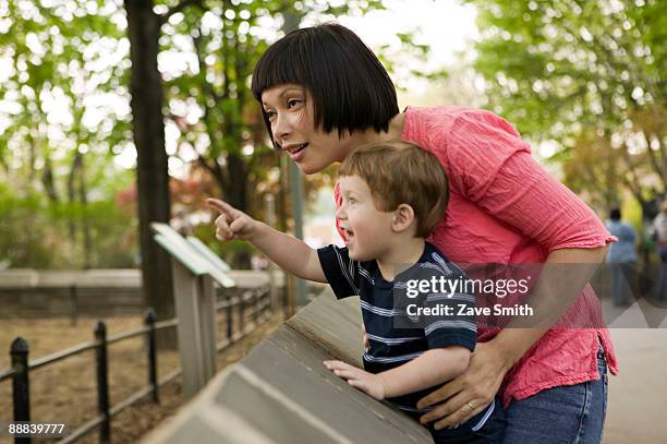 mother and son at the zoo - familie zoo stock-fotos und bilder