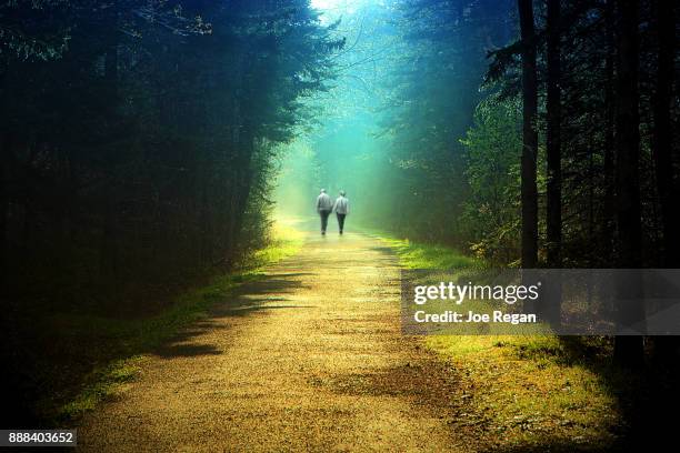 couple walking hand in hand - idyllic retirement stock pictures, royalty-free photos & images