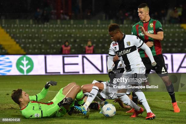 Alessandro Plizzari of Ternana Calcio and Bertrand Baraje of Parma Calcio in action during the Serie B match between Ternana Calcio and Parma Calcio...