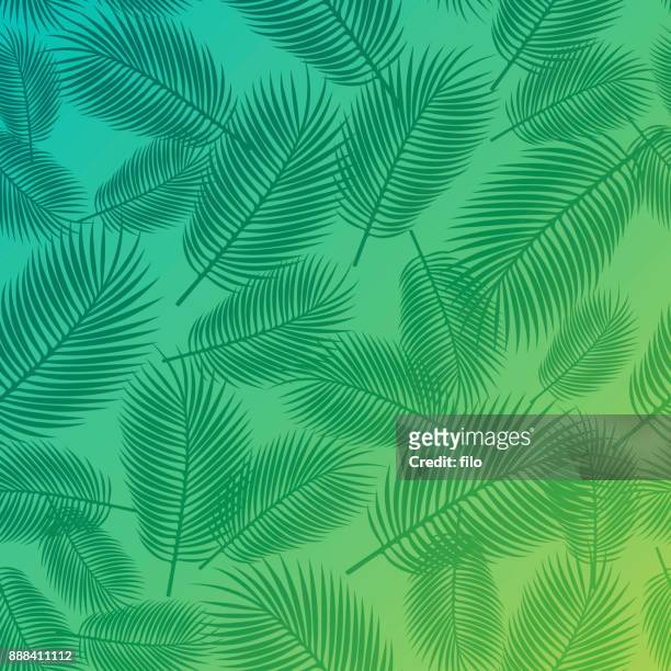 palm background - palm leaves pattern stock illustrations