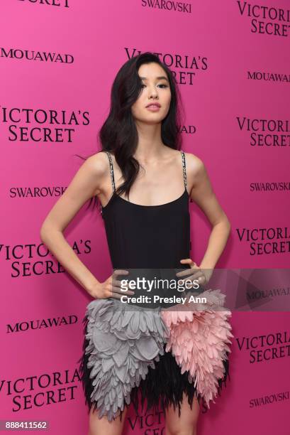 Estelle Chen attends 2017 Victoria's Secret Fashion Show In Shanghai - After Party at Mercedes-Benz Arena on November 20, 2017 in Shanghai, China.