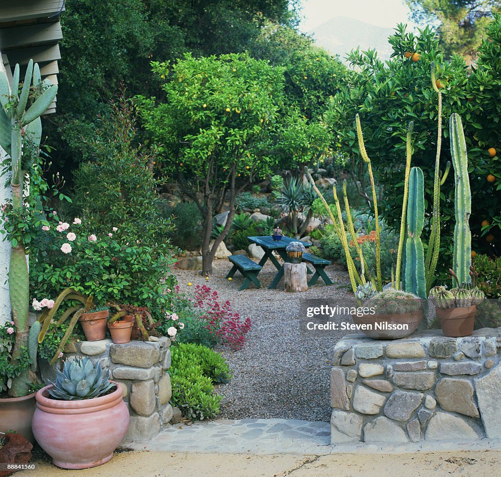 Picnic table in garden , Ojai , California