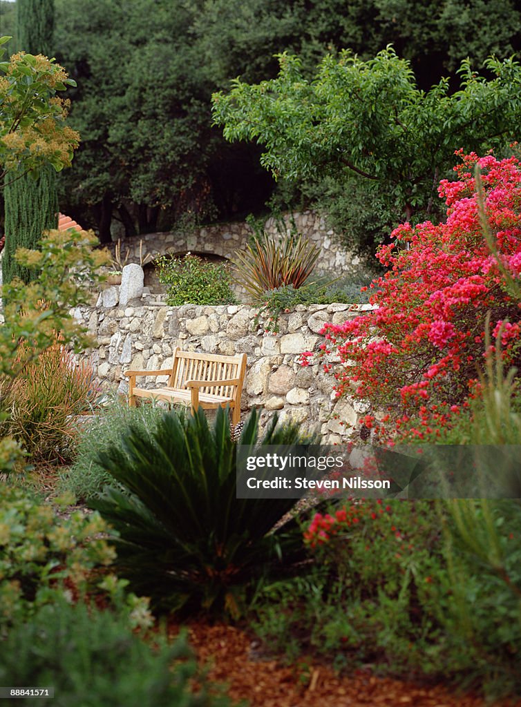 Wooden bench in Mediterranean garden