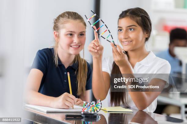 junior high school girls study dna helix model - preteen models | young nonude teen models imagens e fotografias de stock