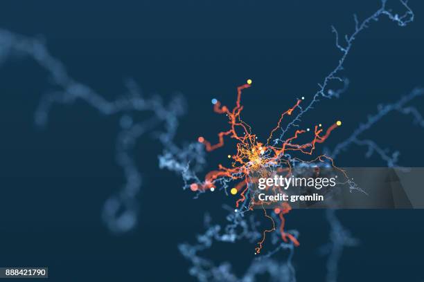 sfondo astratto dei viticci ricci - nervous system foto e immagini stock