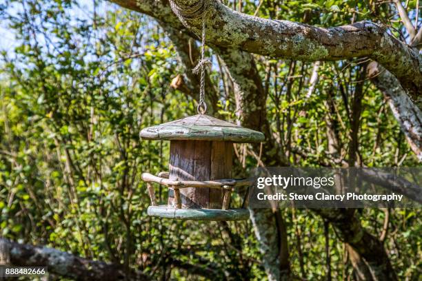 wooden bird feeder - bird feeder stock pictures, royalty-free photos & images