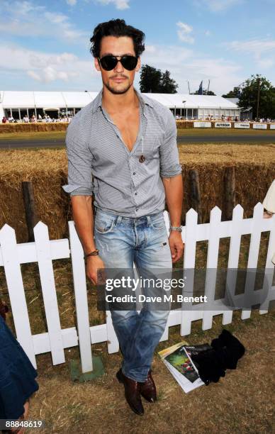 David Gandy attends the Cartier Style & Luxe lunch at the Goodwood Festival of Speed on July 5, 2009 in Chichester, England.