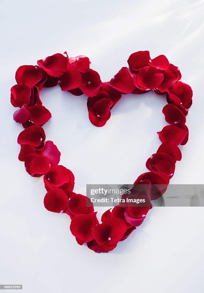 Heart shape made of petals