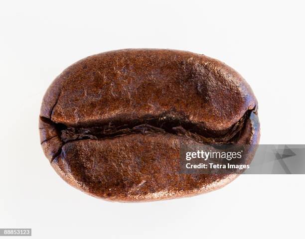 roast coffee bean, studio shot - geroosterde koffieboon stockfoto's en -beelden