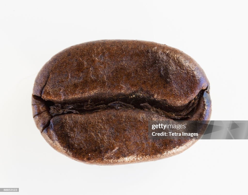 Roast coffee bean, studio shot