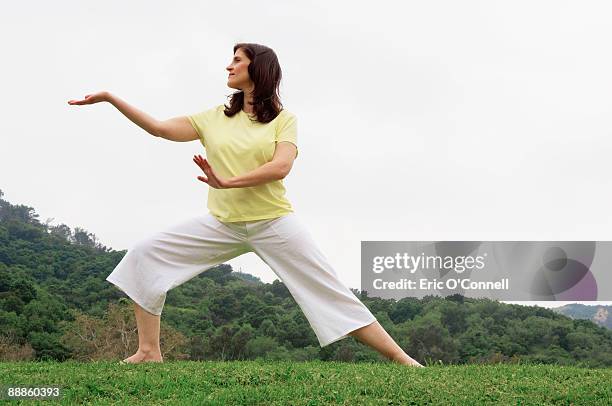 woman doing tai chi - taijiquan bildbanksfoton och bilder