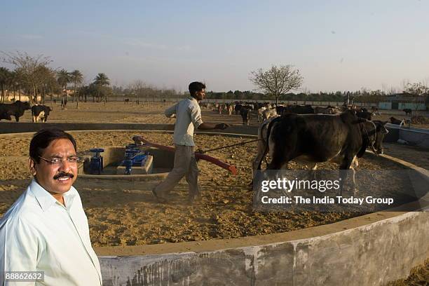 Ajay Shankar Pandey, Municipal Commissioner of Ghaziabad started a Bulls and Oxen Protection Centre at a Goshala in Nandi Park Colony, in Uttar...