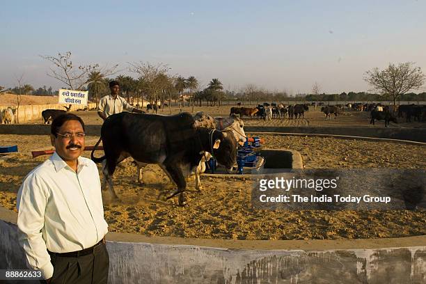 Ajay Shankar Pandey, Municipal Commissioner of Ghaziabad started a Bulls and Oxen Protection Centre at a Goshala in Nandi Park Colony, in Uttar...