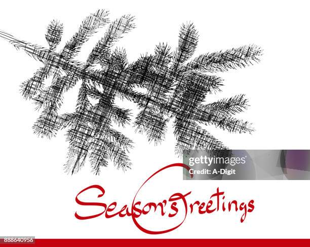 seasons greetings spruce branch - season greetings stock illustrations