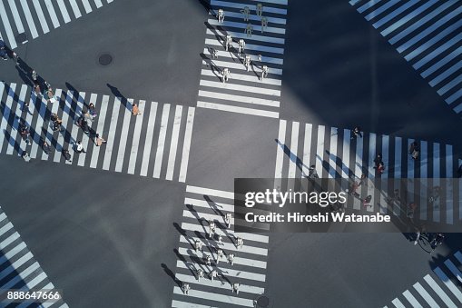Ai Group Is Walking In The Scrambled Intersection Elevated View High ...