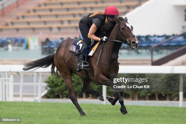Roly Poly training on the track to prepare for the LONGINES Hong Kong International Races at Sha Tin racecourse on December 7, 2017 in Hong Kong,...