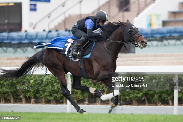 Satono Aladdin training on the track to prepare for the LONGINES Hong Kong International Races at Sha Tin racecourse on December 7, 2017 in Hong...