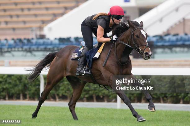 Roly Poly training on the track to prepare for the LONGINES Hong Kong International Races at Sha Tin racecourse on December 7, 2017 in Hong Kong,...