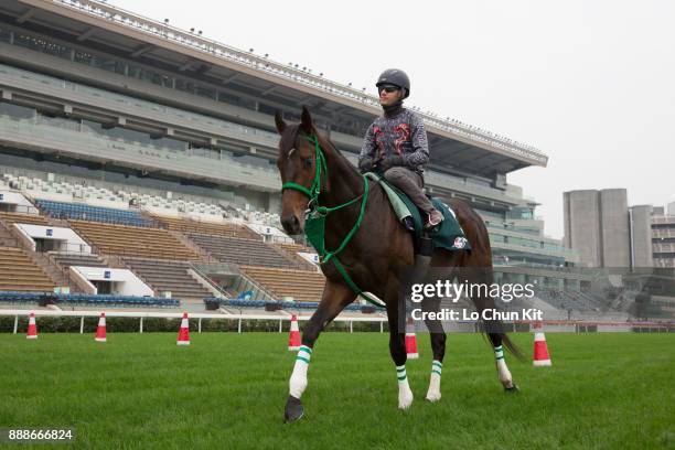 Mirco Demuro riding Japanese runner Kiseki during the LONGINES Hong Kong International Races Trackwork Session at Sha Tin racecourse on December 7,...