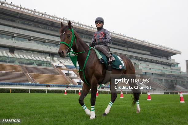 Mirco Demuro riding Japanese runner Kiseki during the LONGINES Hong Kong International Races Trackwork Session at Sha Tin racecourse on December 7,...