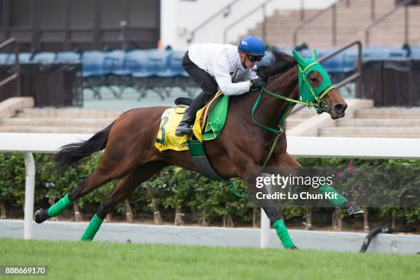 Zac Purton riding Japanese runner Once in a Moon during the LONGINES Hong Kong International Races Trackwork Session at Sha Tin racecourse on...