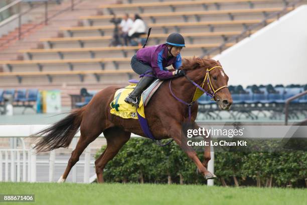 Let's Go Donki training on the track to prepare for the LONGINES Hong Kong International Races at Sha Tin racecourse on December 7, 2017 in Hong...