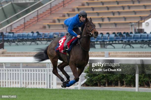 Garlingari training on the track to prepare for the LONGINES Hong Kong International Races at Sha Tin racecourse on December 7, 2017 in Hong Kong,...