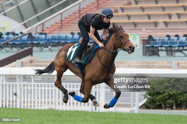 Smart Call training on the track to prepare for the LONGINES Hong Kong International Races at Sha Tin racecourse on December 7, 2017 in Hong Kong,...